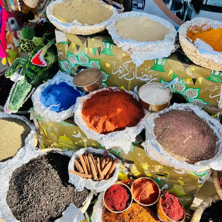 Prehliadka mesta Hurghada, nákupy (23)