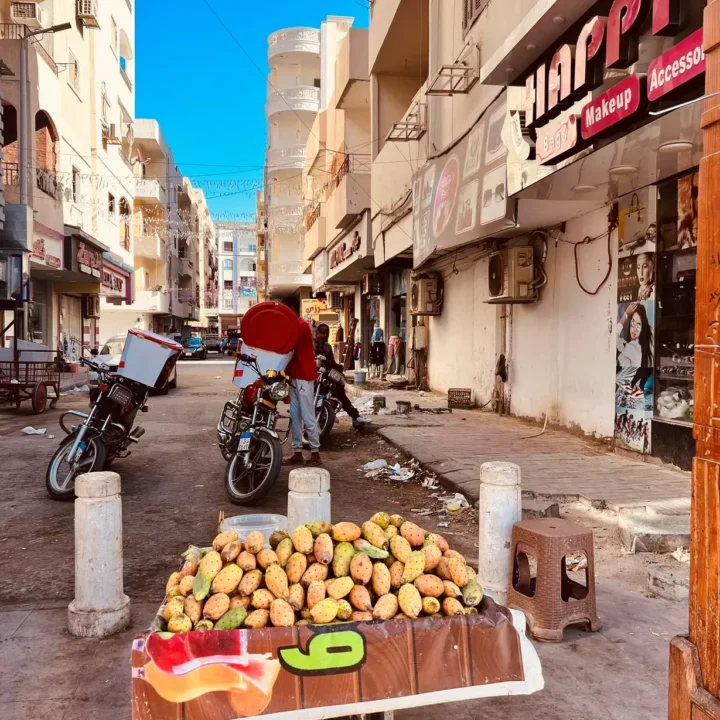 Prehliadka mesta Hurghada, nákupy (24)