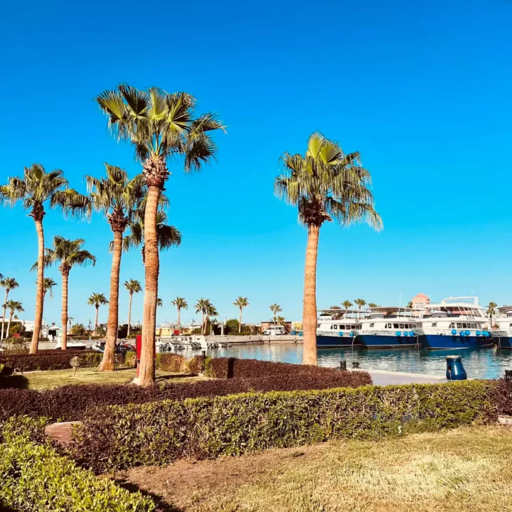 Prehliadka mesta Hurghada, nákupy (28)