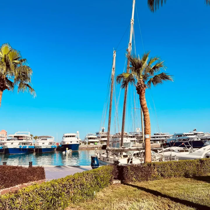 Prehliadka mesta Hurghada, nákupy (6)