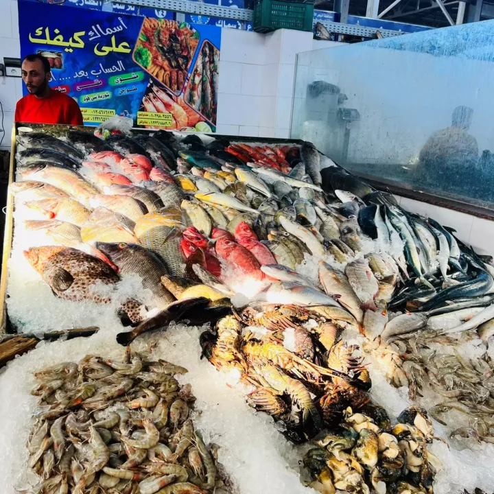 Prehliadka mesta Hurghada, nákupy (8)