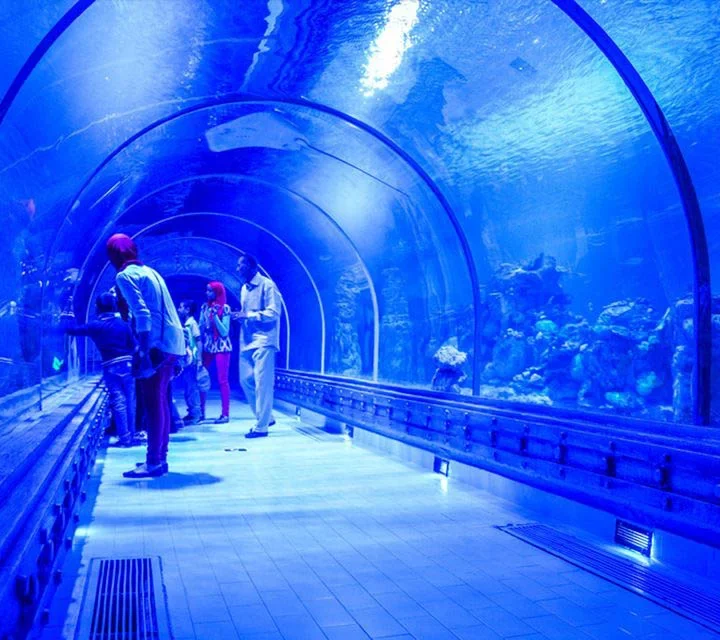 Hurghada Grand Aquarium (1)