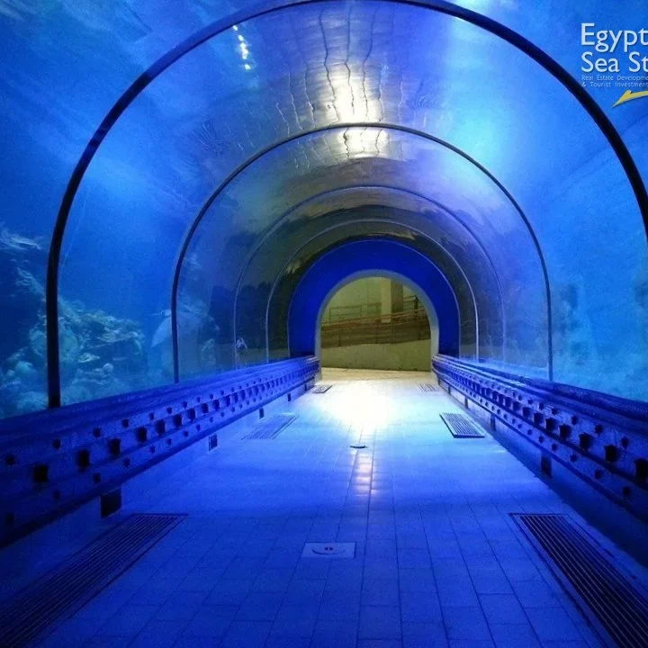 Hurghada Grand Aquarium (11)
