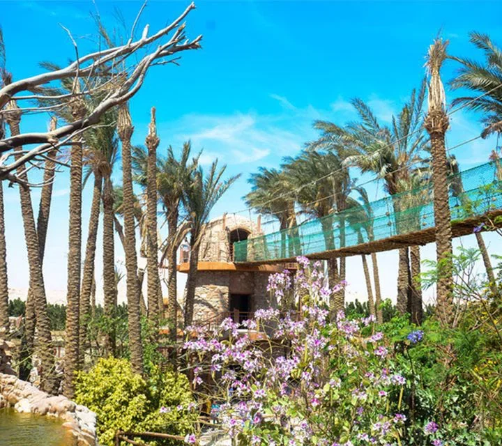 Hurghada Grand Aquarium (3)