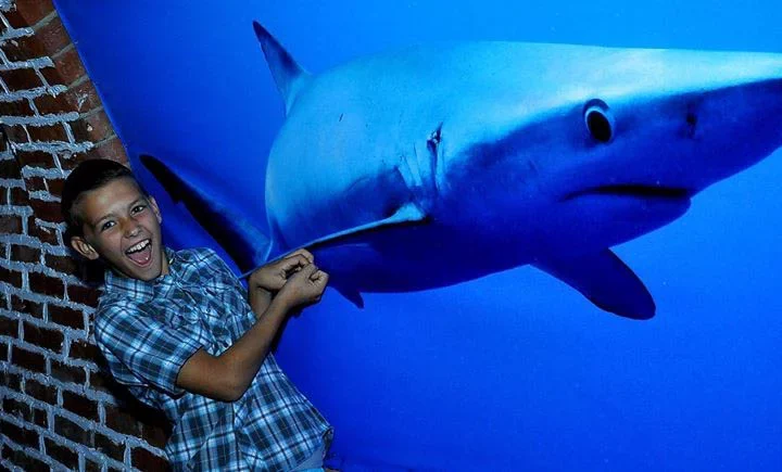 Hurghada Grand Aquarium (6)