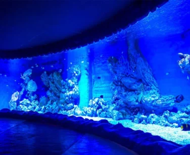O nás – RedSeaElite - Hurghada Grand Aquarium 7