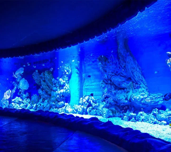 Hurghada Grand Aquarium (7)