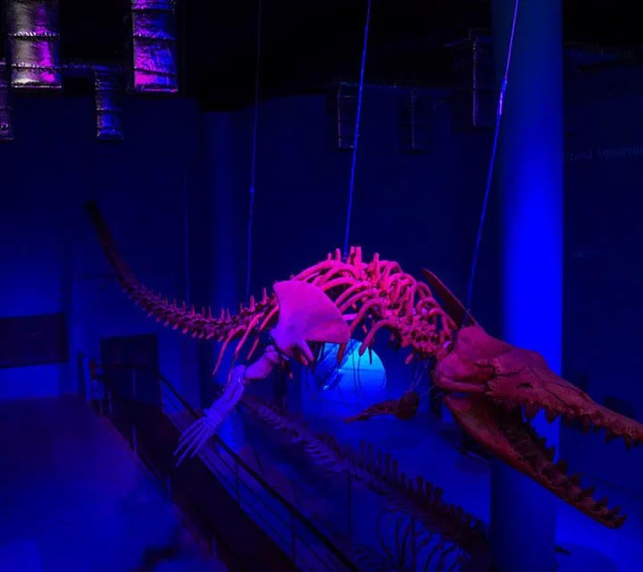 Hurghada Grand Aquarium (8)