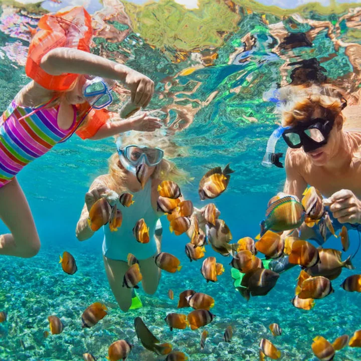 Paradise Island – VIP Experience (44)