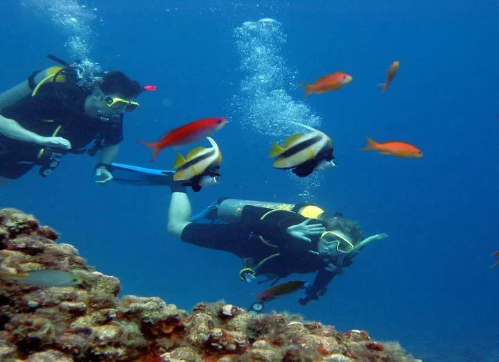Potápanie – Diving Trip (10)