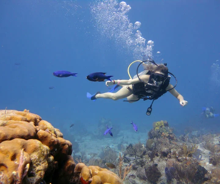 Potápanie – Diving Trip (13)