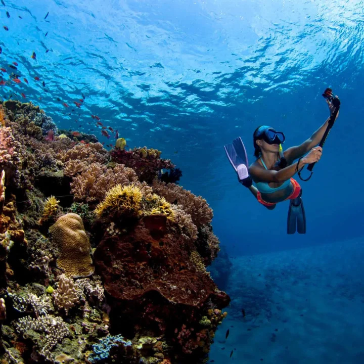 Potápanie – Diving Trip (14)