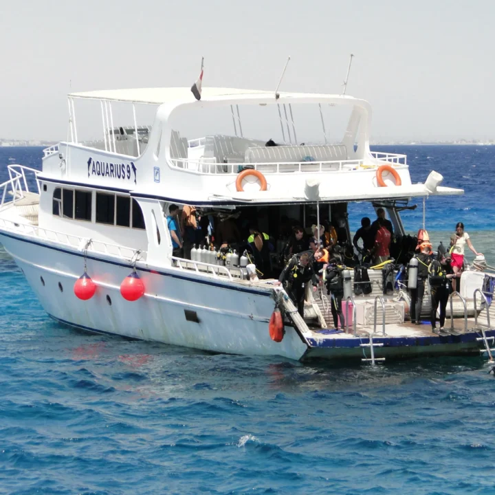 Potápanie – Diving Trip (2)