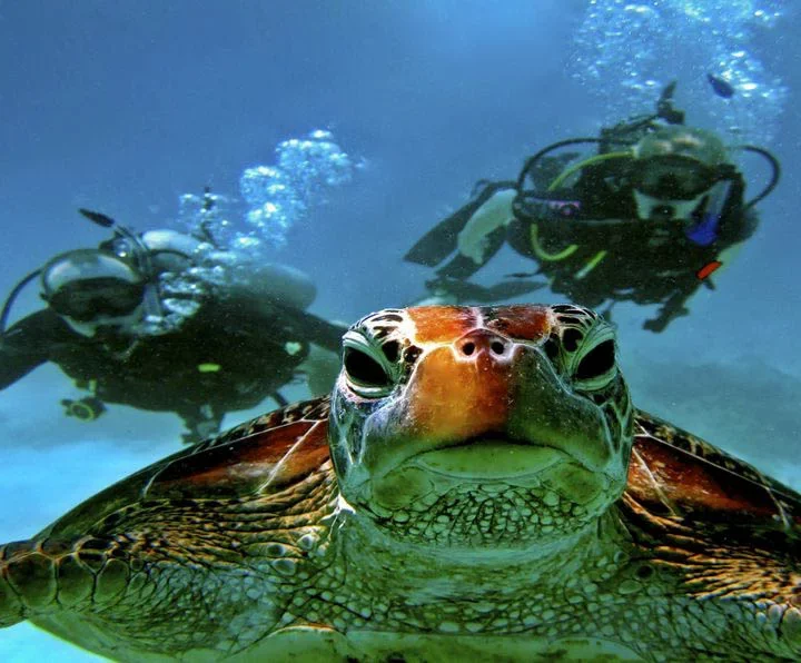 Potápanie – Diving Trip (6)