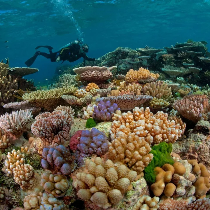 Potápanie – Diving Trip (7)