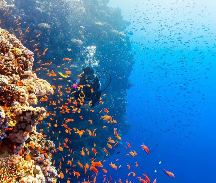 Potápanie – Diving Trip (8)
