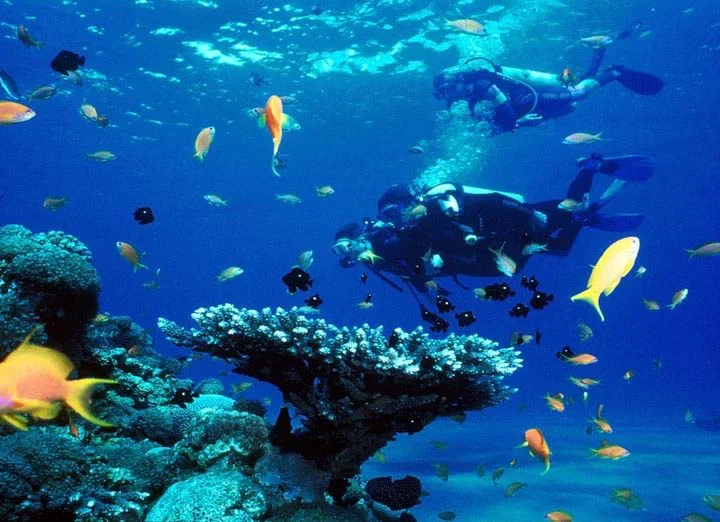 Potápanie – Diving Trip (9)