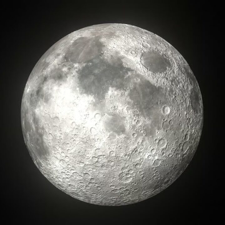 Telescope safari VIP (2)