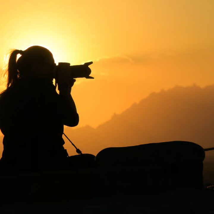 Telescope safari VIP (3)