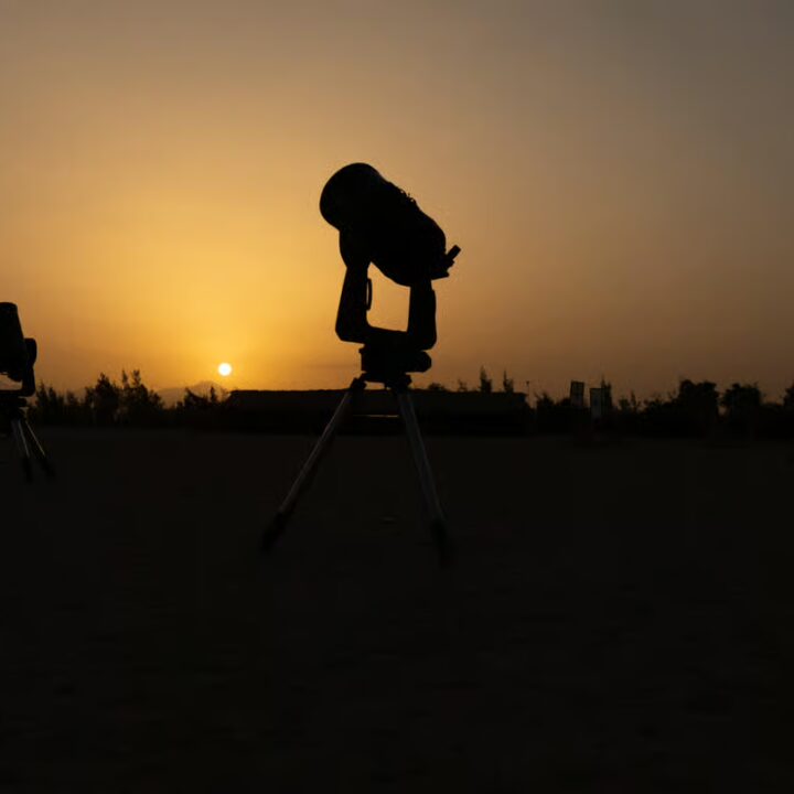 Telescope safari VIP (4)